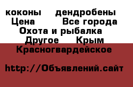 коконы    дендробены › Цена ­ 25 - Все города Охота и рыбалка » Другое   . Крым,Красногвардейское